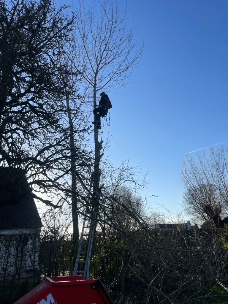 Avontuurlijk boom klimmen: Ervaar de opwinding van het beklimmen van majestueuze bomen. Ontdek het plezier van hoogtes bereiken en de schoonheid van de natuur vanuit een ander perspectief.